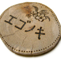 エゴノキ　新緑