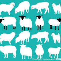 あけまして　おめでとうございます