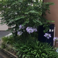 「生涯現役ネットワーク」主催40歳からの仲間づくり企画・見学会