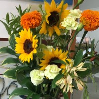 COS下北沢の7月　２題