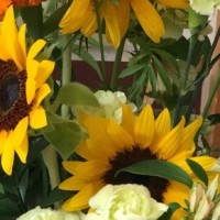 助成金申請　コロナ禍を乗り越えるために！